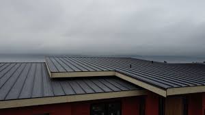 Best Rubber Roofing (EPDM, TPO)  in Coopersburg, PA